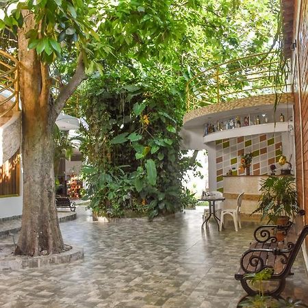 Green House Tarapoto Luaran gambar