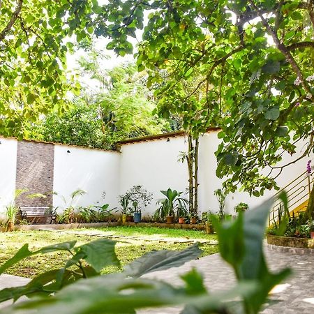 Green House Tarapoto Luaran gambar