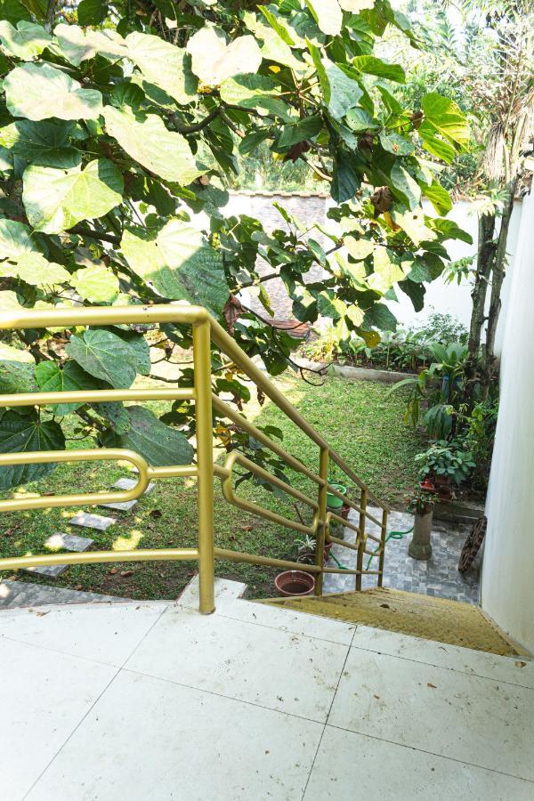 Green House Tarapoto Luaran gambar