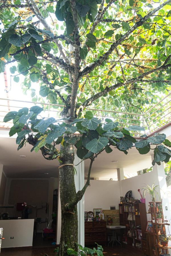 Green House Tarapoto Luaran gambar