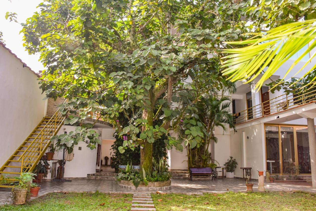 Green House Tarapoto Luaran gambar