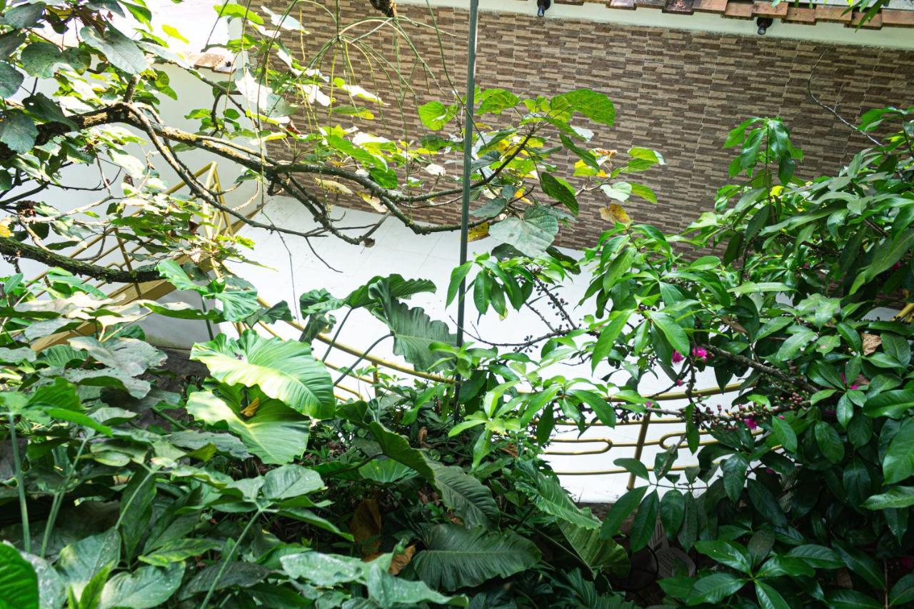 Green House Tarapoto Luaran gambar